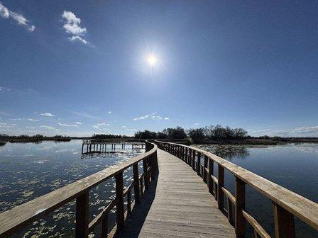 Área Recreativa Tablas De Daimiel