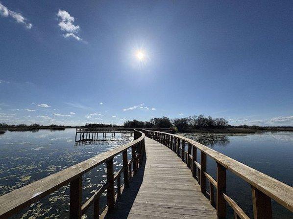 Área Recreativa Tablas De Daimiel
