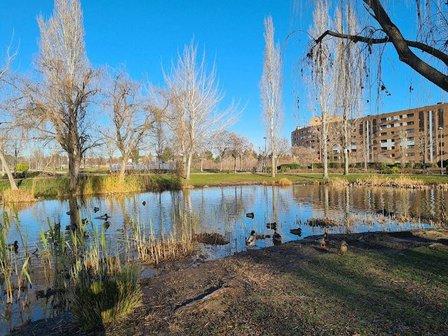 Universo Park
