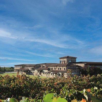 Tienda de Vinos Bodega Viña Arnaiz - Ribera del Duero