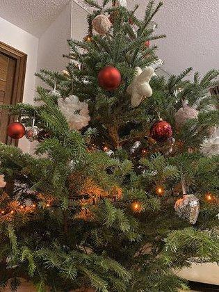 Mi Árbol de Navidad