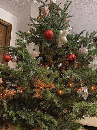 Mi Árbol de Navidad