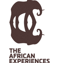 theafricanexperiences.com