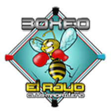 Boxeo El Rayo - Carabanchel Ⅱ