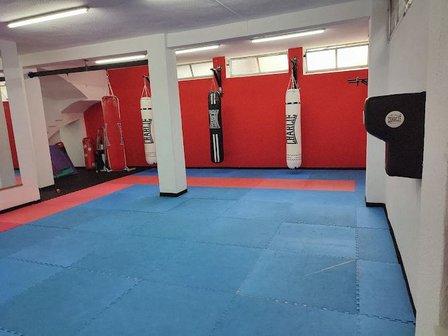 Boxeo El Rayo - Carabanchel Ⅱ