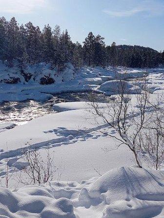Greenland Adventure Viajes y expediciones