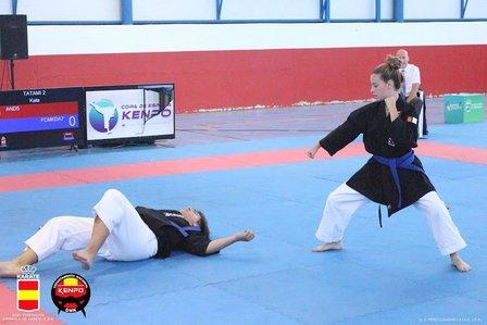 TAISHINDO KENPO