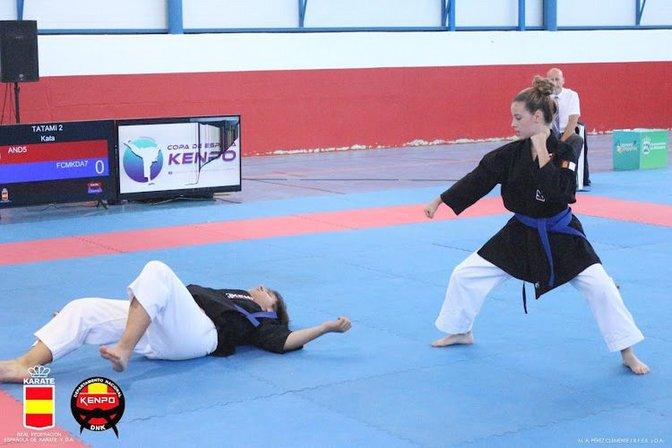 TAISHINDO KENPO