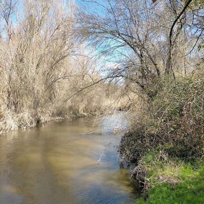 Área Recreativa Dehesa Del Sotillo