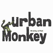 Rocódromo Urban Monkey - Madrid
