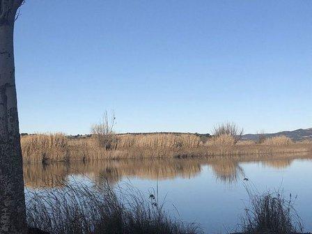 Almoguera dam