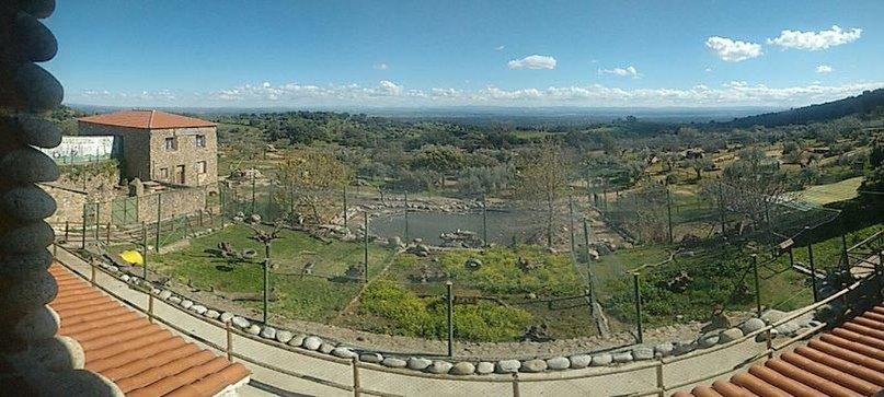 Zoo Safari Wildlife Adventure