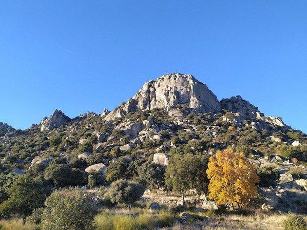 Pico De La Miel