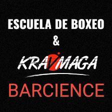 Escuela de Boxeo y Krav Maga Toledo Spain