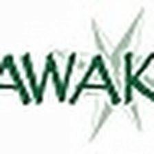 Arawak Viajes