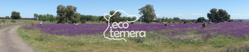 ecoternera