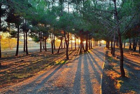 Parque del Humedal