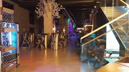 Rockgym