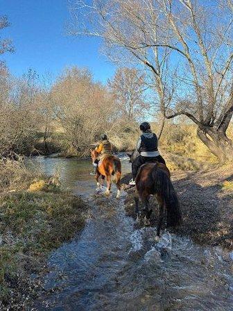 Finca LV endurance