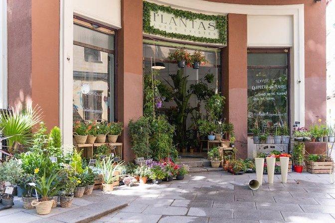 Zugasti Antiques