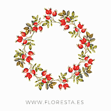 FLORESTA Flores a Medida