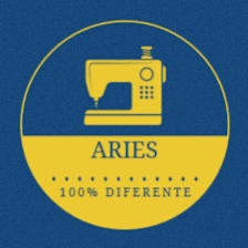 ARIES 100% Diferente