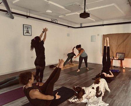 Ashtanga Mysore Majadahonda
