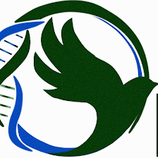 Ornivirtual