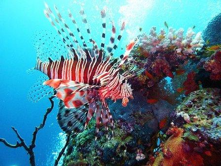 cheap travel punta cana