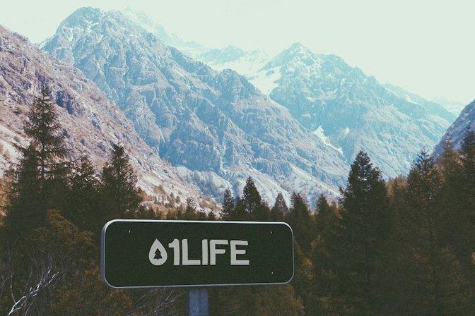 1LIFE