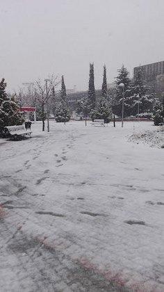 Alfredo Kraus Park