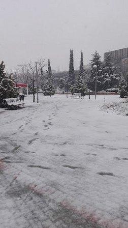 Alfredo Kraus Park