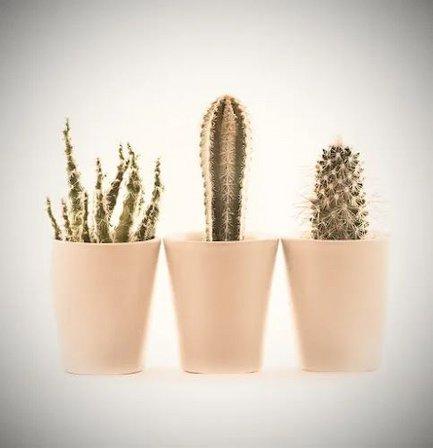 Recicla y Decora Chic