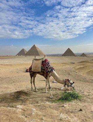 Dynamic Tours
