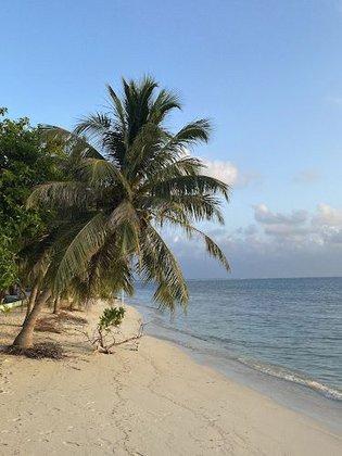 Top Dive Travel