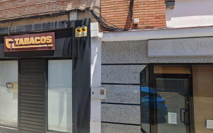 Olivo Trece