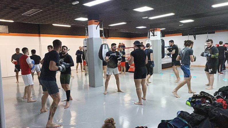 Factory of Fighters