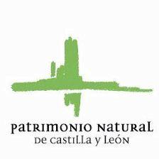 Casa del Parque Pinos Cimeros