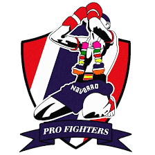 Pro Fighters