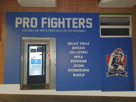 Pro Fighters