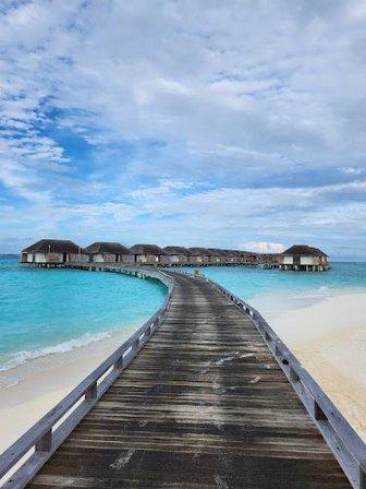 ALL 4 ONE TRAVEL