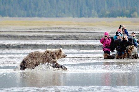 Alaska Tours (de Grupo Island Tours)