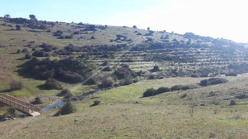 Antiguo Campo de Tiro