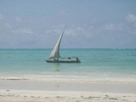 Viajes Infinity Tours