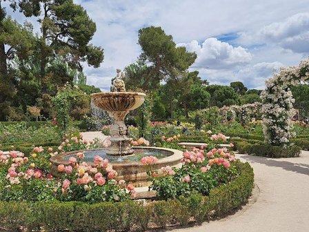 Rose Garden