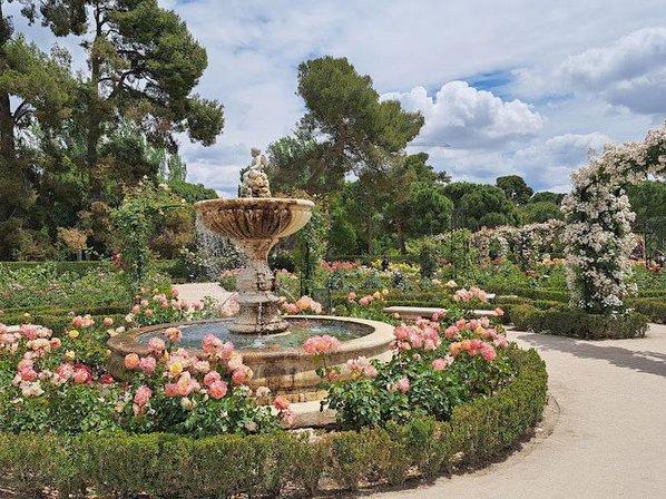 Rose Garden