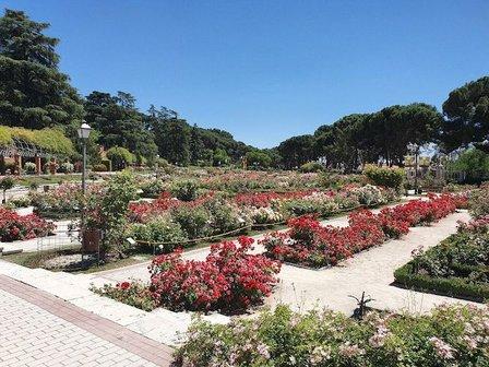 Parque del Oeste