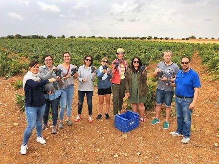 Colorful Wines - Wine Tours Madrid