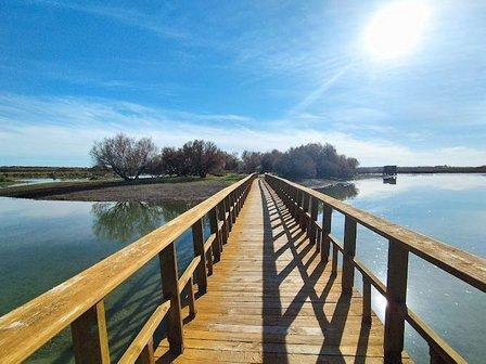Tablas Daimiel