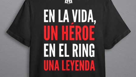 BOXING SCHOOL CESAR CEPEDA